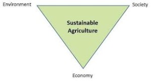 diag sustainable